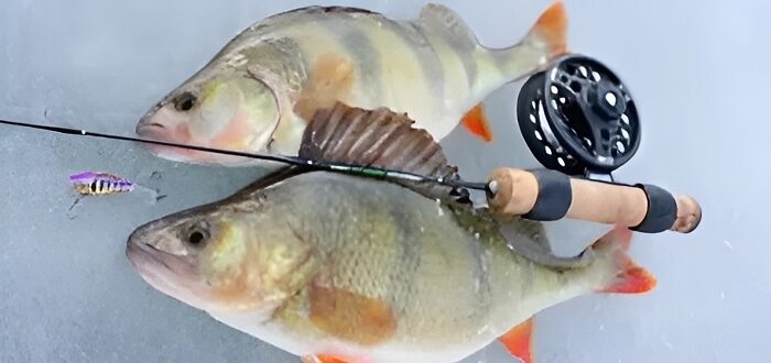 Изготовление зимней удочки для блеснения окуня своими руками