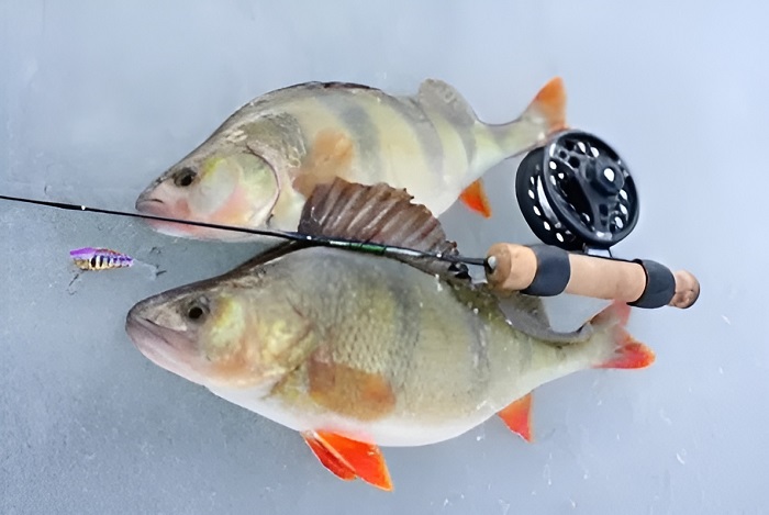 Изготовление зимней удочки для блеснения окуня своими руками